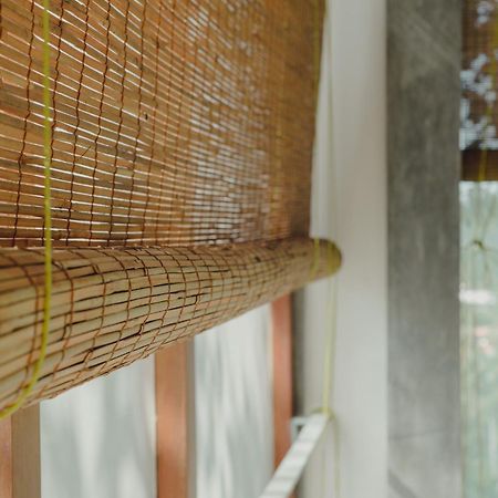 Villa Amma Erna - Galle Exteriér fotografie